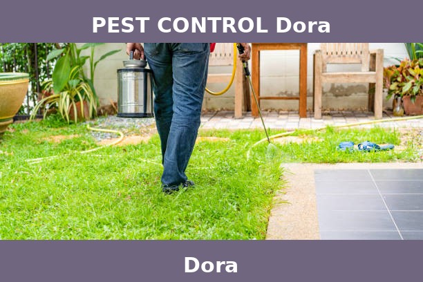 PEST CONTROL Dora